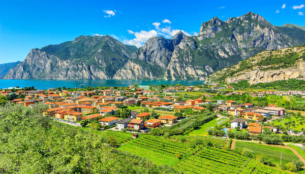 Cantine e Vini del Lago di Garda: quali visitare e cosa degustare nei dintorni